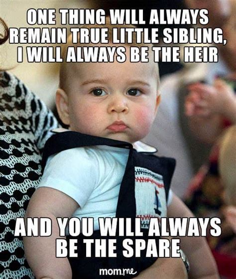 funny sibling memes|15 Hilarious Sibling Memes That Will Really Hit Home For All  .